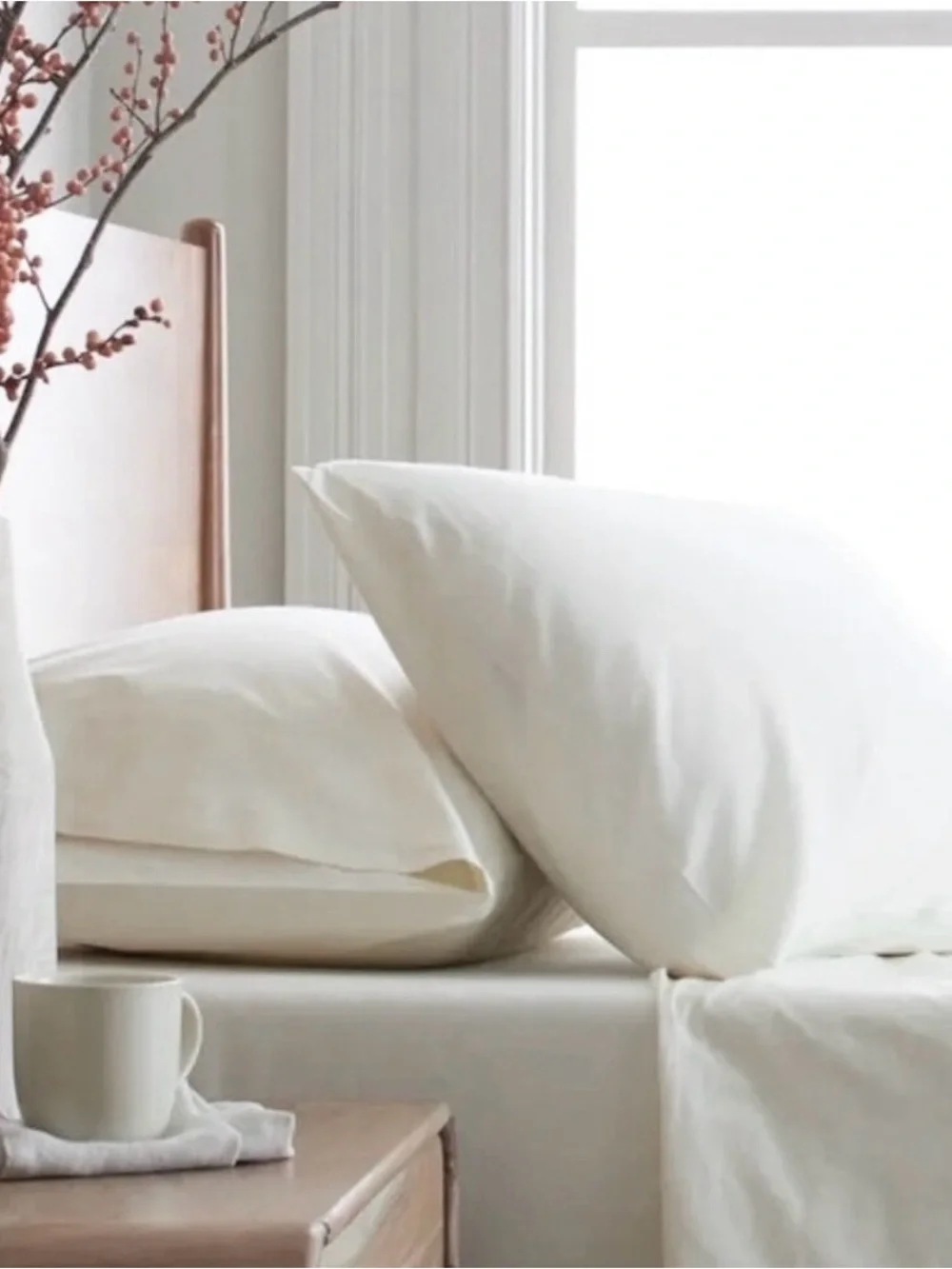 NWOT Quince Organic Brushed Cotton Queen White Pillowcases Set of 2